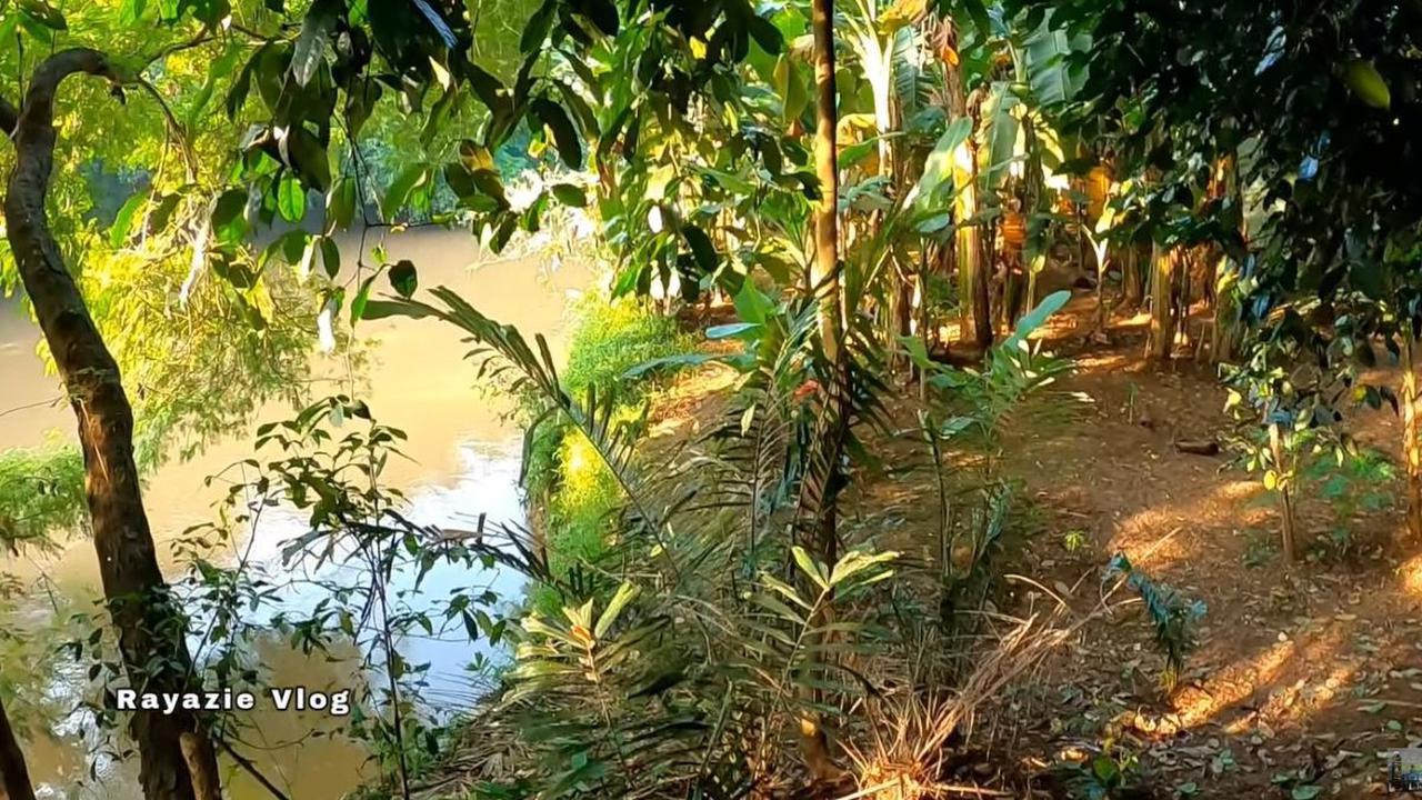 Masih Terdengar Suara Hewan Khas Perdesaan