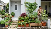 Tips Menata Kebun Buah Mini di Rumah Type 27 agar Tidak Terlihat Sempit