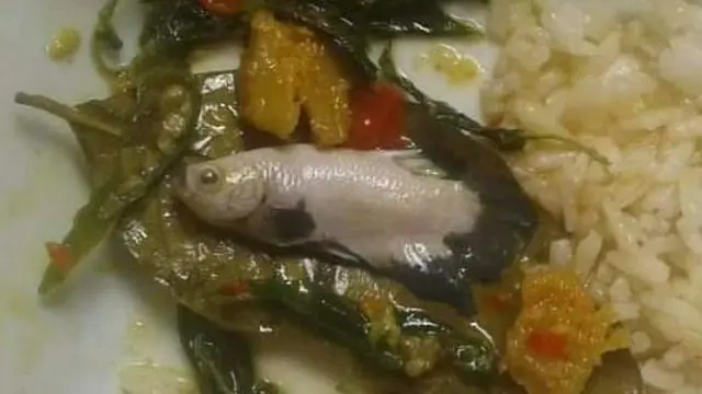 6 Makanan Olahan Ikan Ini Nyeleneh, Bikin Hilang Nafsu Makan