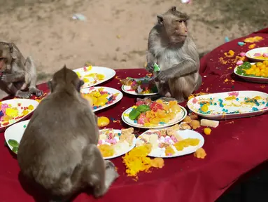 Monyet menikmati makanan dari meja makan di depan kuil Prang Sam Yod selama Festival Prasmanan Monyet tahunan di Lopburi, Bangkok, Thailand, Minggu (29/11/2020). Festival tersebut untuk mengucapkan rasa terima kasih kepada monyet yang telah menarik banyak wisatawan ke deerah itu. (Jack TAYLOR/AFP)