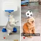 Makin pintar karena diajari oleh majikan, aksi kucing ini kemudian viral dan mencuri perhatian warganet. Sumber: Tiktok @funypet0