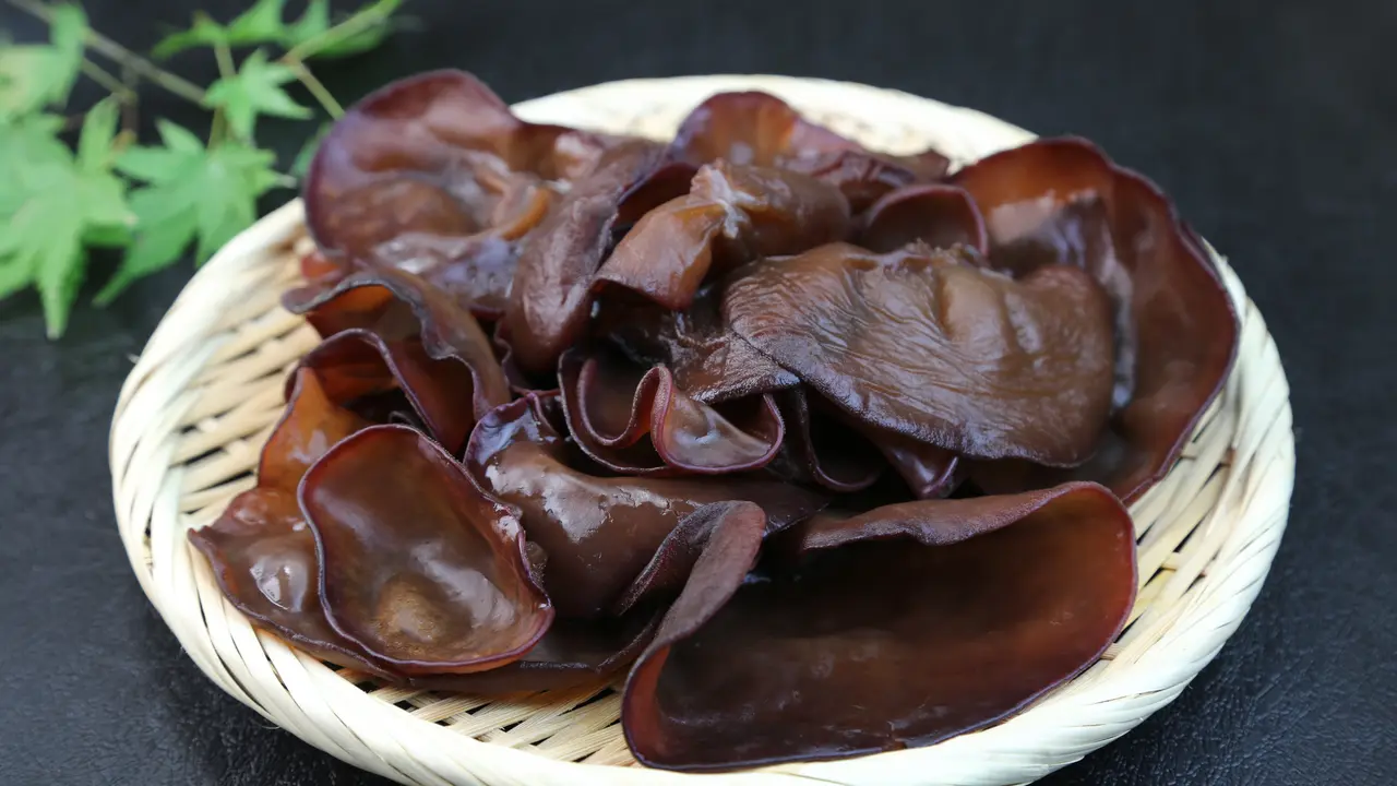 Jamur Kuping Hitam