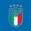 Tim Nasional Italia merupakan salah satu negara yang sukses meraih banyak gelar di berbagai kompetisi internasional