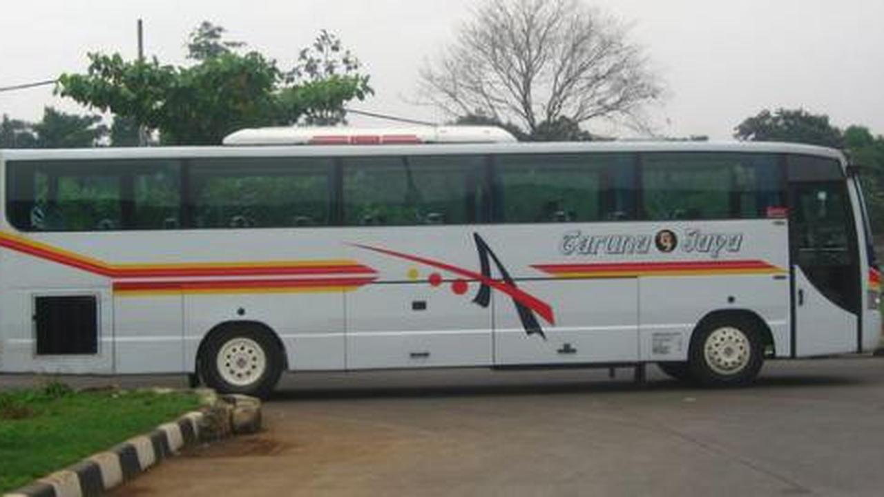 Berebut penumpang di Pantura, dua awak bus adu jotos