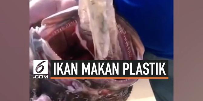 VIDEO: Kantong Plastik Bersarang di Tenggorokan Ikan