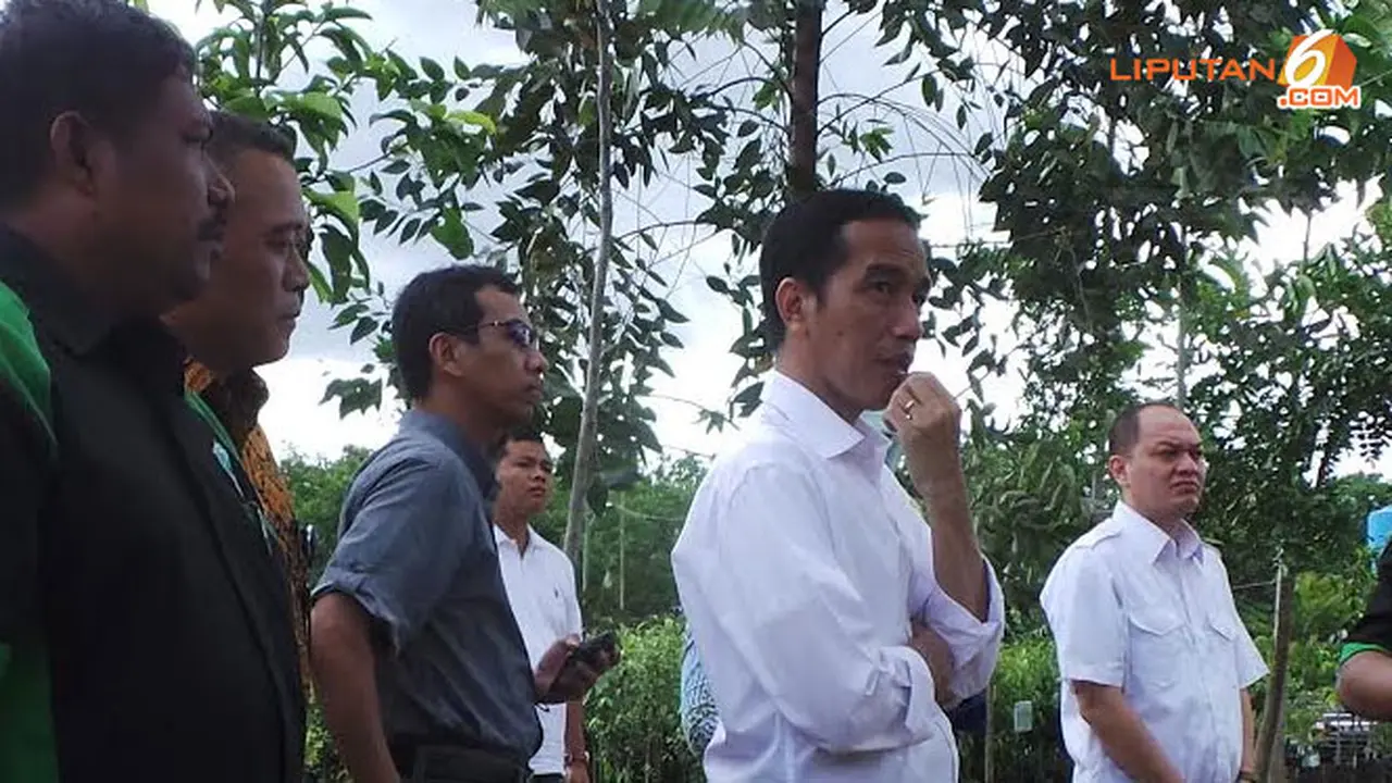 jokowi-minta-140117d.jpg