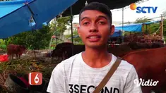 Sepintas tidak ada yang istimewa dari lokasi penjualan hewan kurban di Jalan Raya Brawijaya, Kecamatan Sukorambi, Jember. Keistimewaan baru terlihat dari perlakuan yang diberikan terhadap hewan kurban yang dijual.