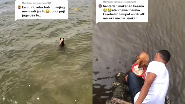 Perjuangan seekor anjing dapatkan makanan.