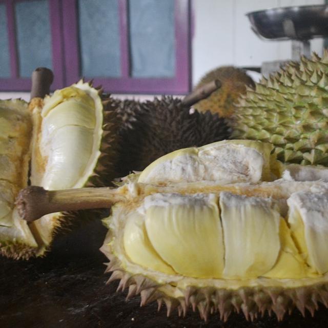 Mengenal Durian Montong Oranye Si Legit Dari Banyumas Regional Liputan6 Com