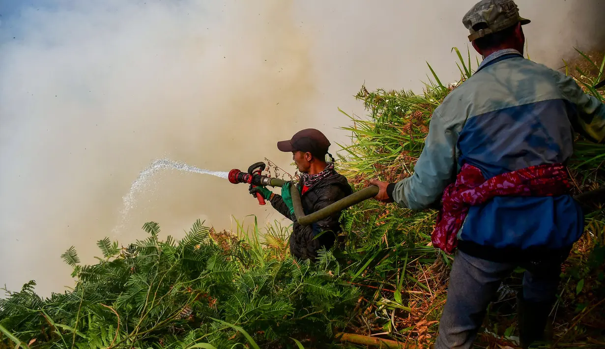 Petugas pemadam kebakaran memadamkan api di Taman Nasional Bromo Tengger Semeru di Desa Ngadas, Malang, Jawa Timur, 5 Agustus 2026. (AFP/ Muhammad Firman)