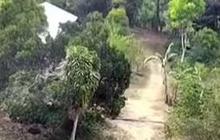 Dulunya Lokasi Pertempuran Polisi Melawan Belanda, Ini Kisah Kampung Lansia di Lereng Gunung Wilis