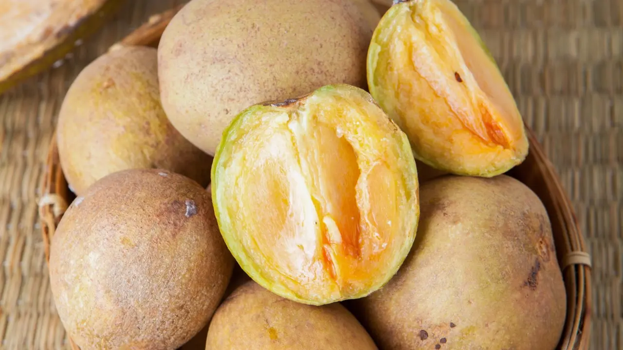 Ilustrasi buah sawo