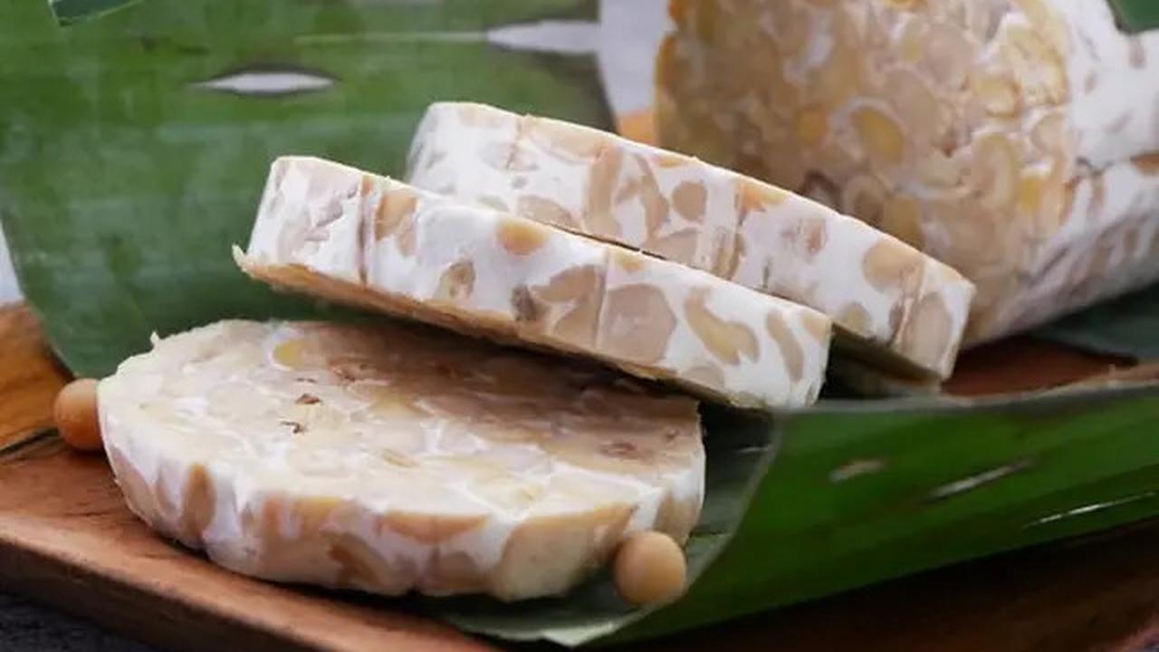 Rahasia Menyimpan Tempe Tetap Segar di Kulkas Selama Berhari-hari