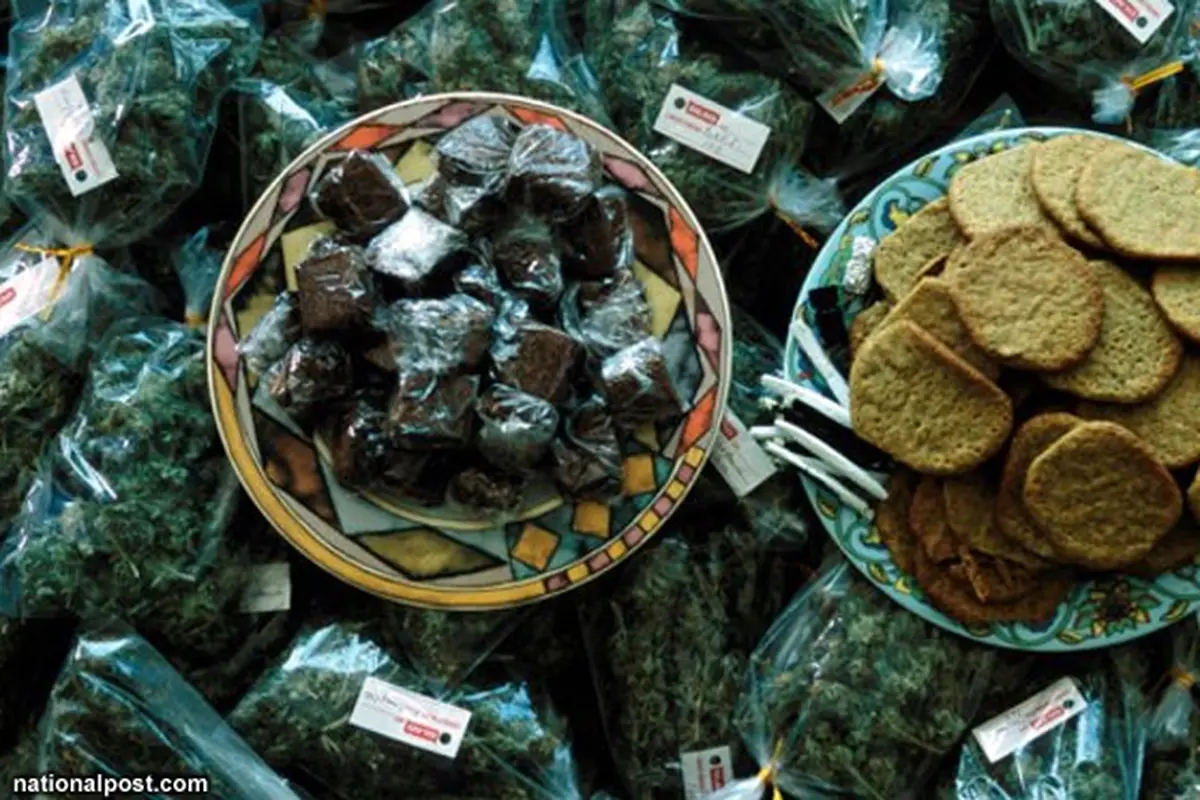 kue-ganja-130528b.jpg