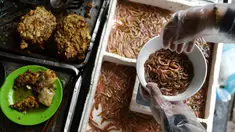 Pedagang membuat kuliner cha ruoi di sebuah warung di Hanoi, Vietnam, Jumat (14/12). Cha ruoi merupakan kue hangat berbentuk dadar yang terbuat dari campuran daging babi, telur, daun dill, kulit jeruk, dan segenggam cacing goreng. (Manan Vatsyayana/AFP)