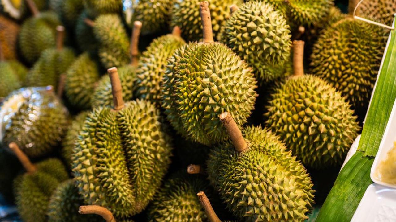 Perhatikan Warna Kulit Durian
