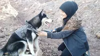 Anjing Sahba, seekor husky Siberia tujuh bulan bernama Aseman (Liputan6/Sahba Barakzai)