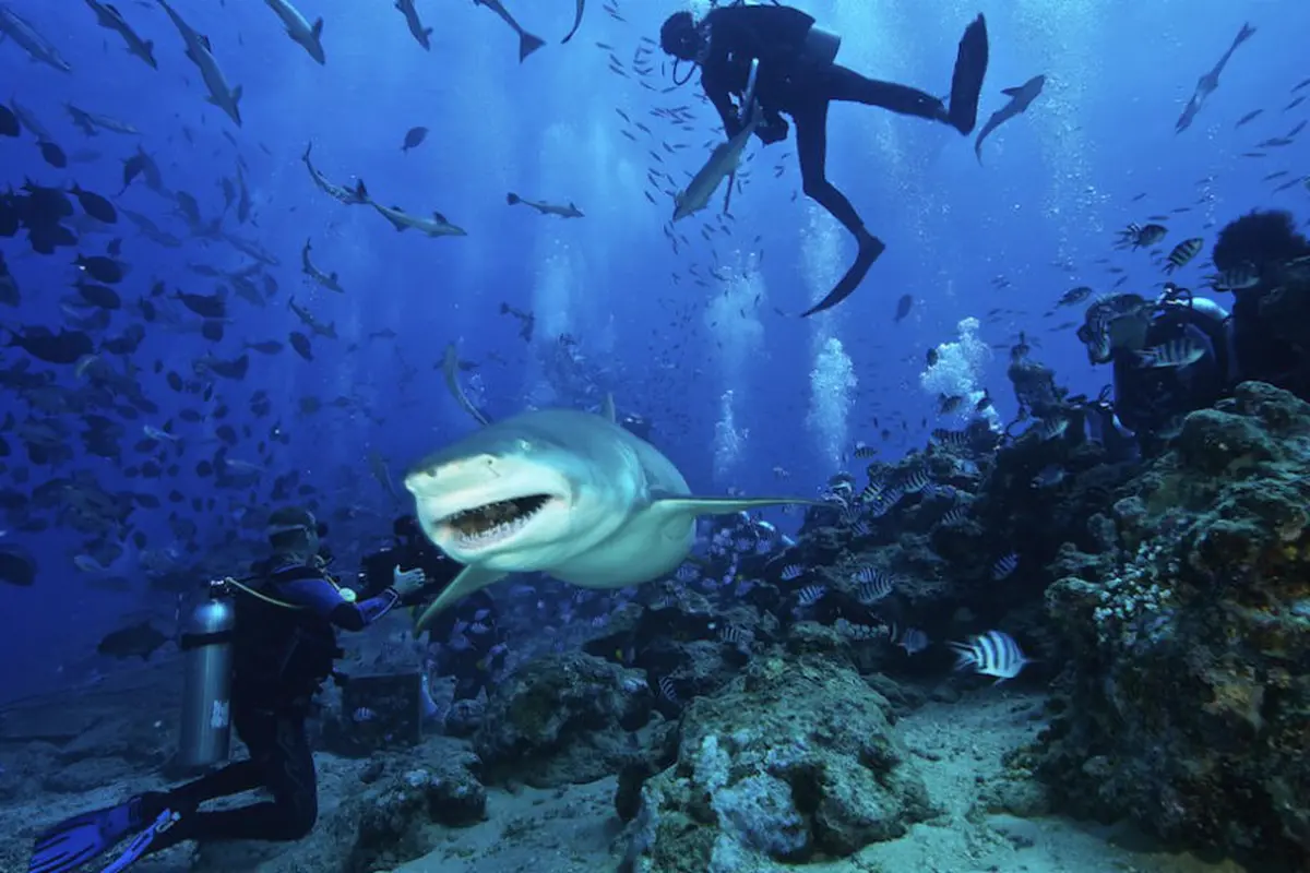 6 Liburan Seru yang Dapat Memacu Adrenalin