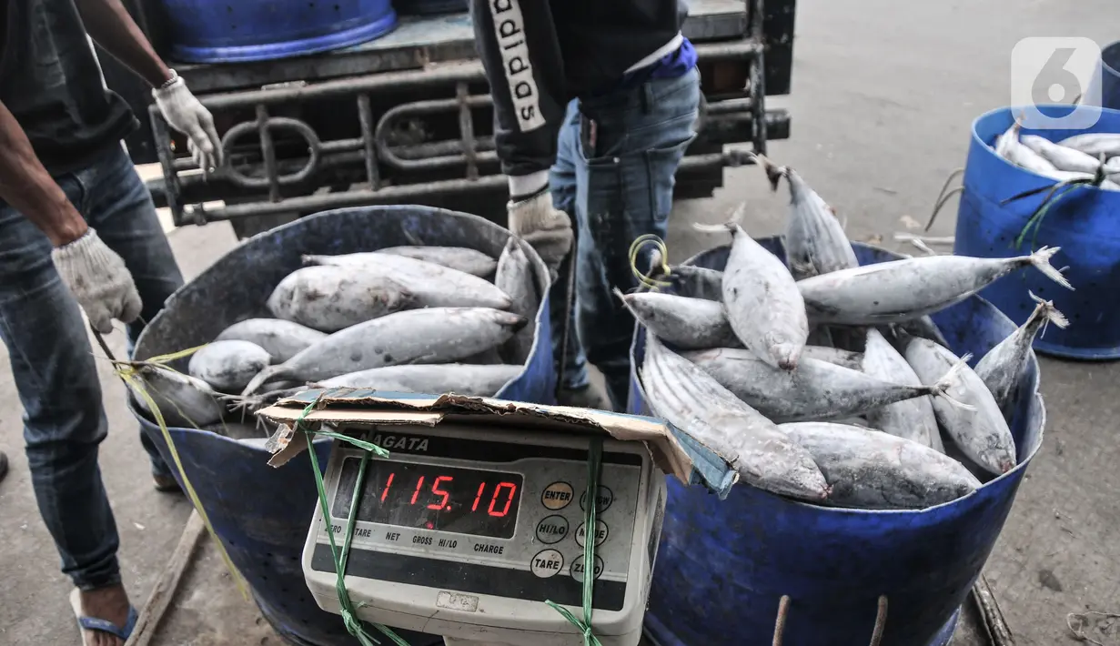 Nelayan menimbang ikan di Pelabuhan Muara Baru, Jakarta, Kamis (5/8/2021). Berdasarkan survei KNTI yang dilakukan 5.292 responden nelayan di 25 wilayah di Indonesia, sebagian besar nelayan tradisional mengaku 78,43 persen hasil tangkapan berhasil terserap oleh pasar. (merdeka.com/Iqbal S. Nugroho)