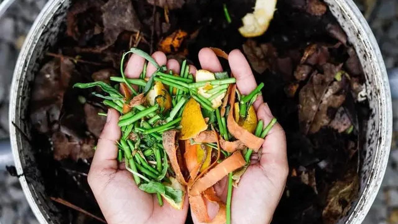Kebiasaan Ini Dapat Mengurangi Sampah Rumah Tangga, Bikin Lingkungan Jadi Bersih dan Sehat