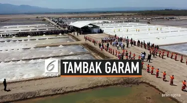 Presiden Joko Widodo meninjau operasional tambak garam di Desa Nunkurus, Kecamatan Kupang Timur, Provinsi Nusa Tenggara Timur (NTT) pada Rabu (21/8/2019).