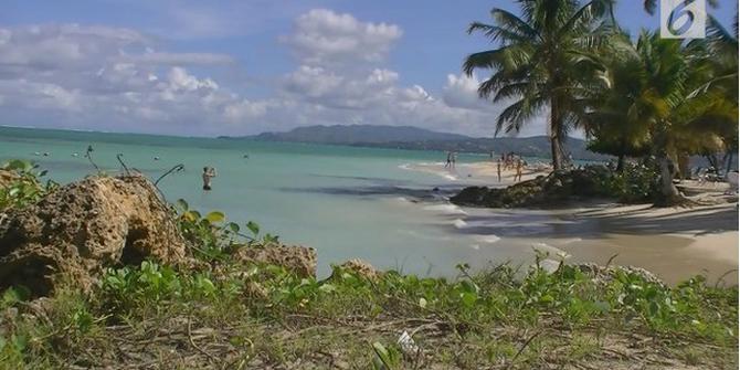 VIDEO: Santai di Pantai, Bokong Turis 'Dimakan' Cacing