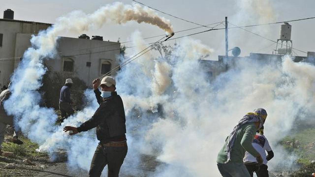 Pemukim Yahudi Israel Bakar Lahan Pertanian Milik Warga Palestina di Tepi Barat