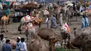 Para penjual dengan unta mereka yang dihiasi menunggu pembeli di pasar ternak untuk Idul Adha di Islamabad, Pakistan, Minggu (26/7/2020). Para pedagang menghias unta agar hewan kurban yang dijualnya dilirik pembeli. (AP Photo/Anjum Naveed)