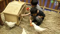 Dua orang anak bermain bersama di kandang ayam saat gelaran Jakarta Indonesia Pet Show 2019 di JIExpo Kemayoran, Jakarta, Sabtu (23/2). Pameran khusus hewan kesayangan/hobi ini berlangsung hingga Minggu (24/2). (Liputan6.com/Helmi Fithriansyah)