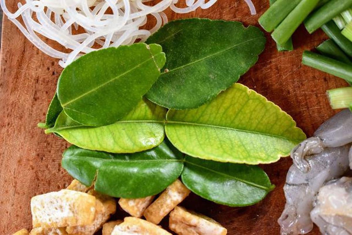 8 Daun yang Ditakuti Semut, Solusi Alami Tanpa Semprotan Kimia