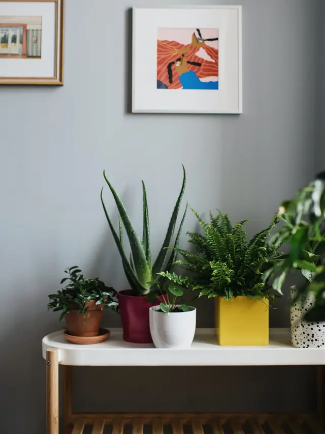 ilustrasi Perbedaan Sel Hewan dan Sel Tumbuhan yang Harus Dipelajari/Ksenia Chernaya/pexels