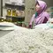 Harga Pangan Hari Ini: Beras Kualitas Super I Turun jadi Rp 17.650 per Kg