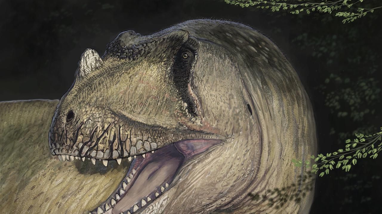 Dari Foto Fosil yang Terlupakan, Ilmuwan Temukan Spesies Baru Dinosaurus Predator yang Hidup 95 Juta Tahun Lalu