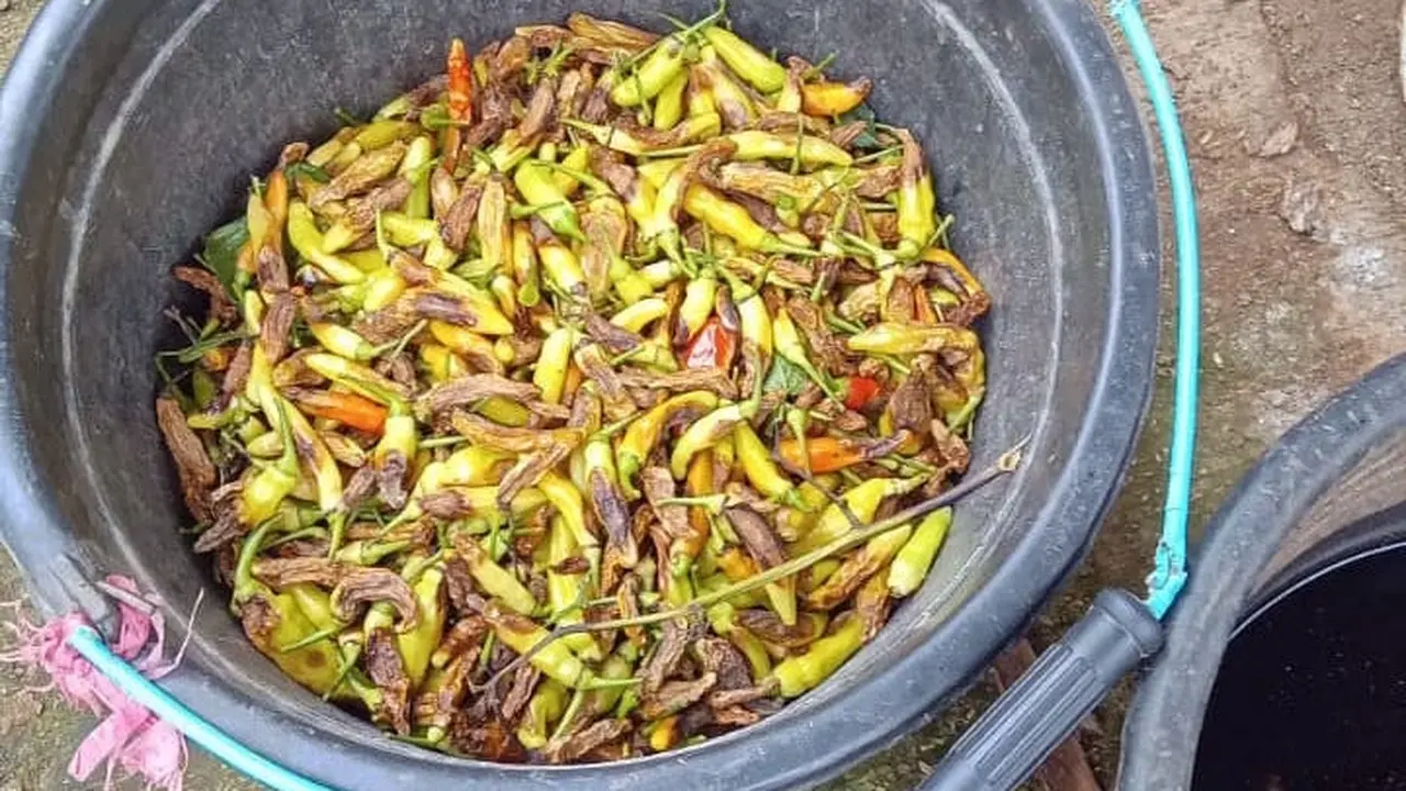 patek, cabai, pangalengan