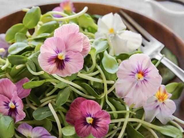 Tak Hanya Cantik Bunga Ini Juga Bisa Dimakan Lifestyle Liputan6 Com