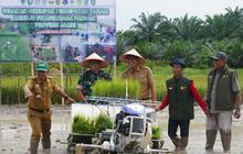 TNI-Pemda Jambi: Lebih dari Sekadar Tanam Padi, Ini Rahasia Sinergi Kuat Wujudkan Swasembada Pangan Jambi!
