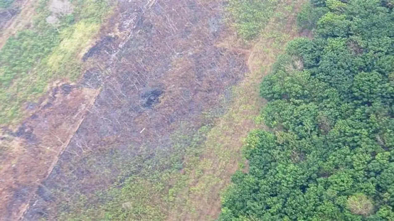 Kebakaran Hutan
