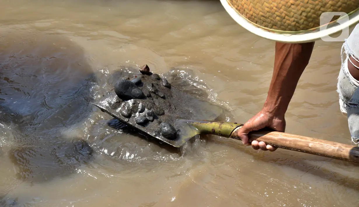 Pekerja menambang pasir  secara tradisional di Sungai Klawing, Desa Toyarejo, Purbalingga, Jawa Tengah, Minggu (15/5/2022). Aktivitas penambang pasir di Sungai Klawing sudah ada sejak puluhan tahun lalu dengan menggunakan perahu dan dikerjakaan masih secara tradisional. (merdeka.com/Iqbal S Nugroho)