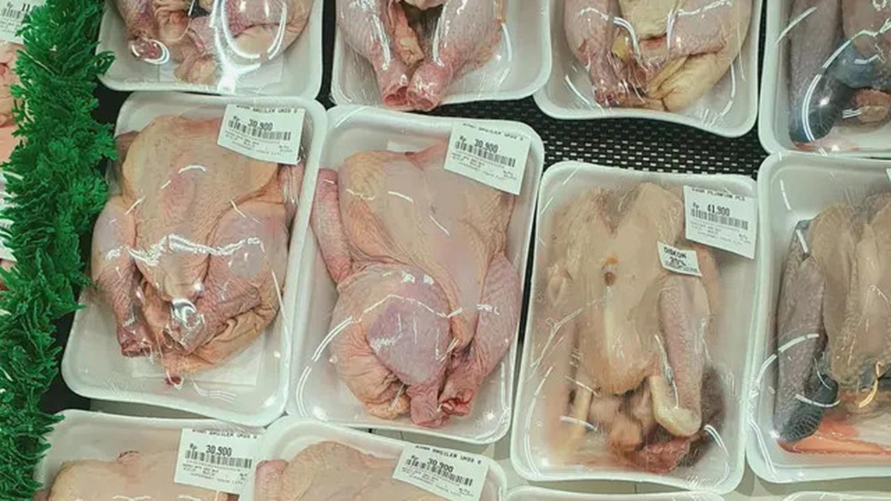 Rahasia Mencairkan Daging Ayam Beku Tanpa Air dan Microwave