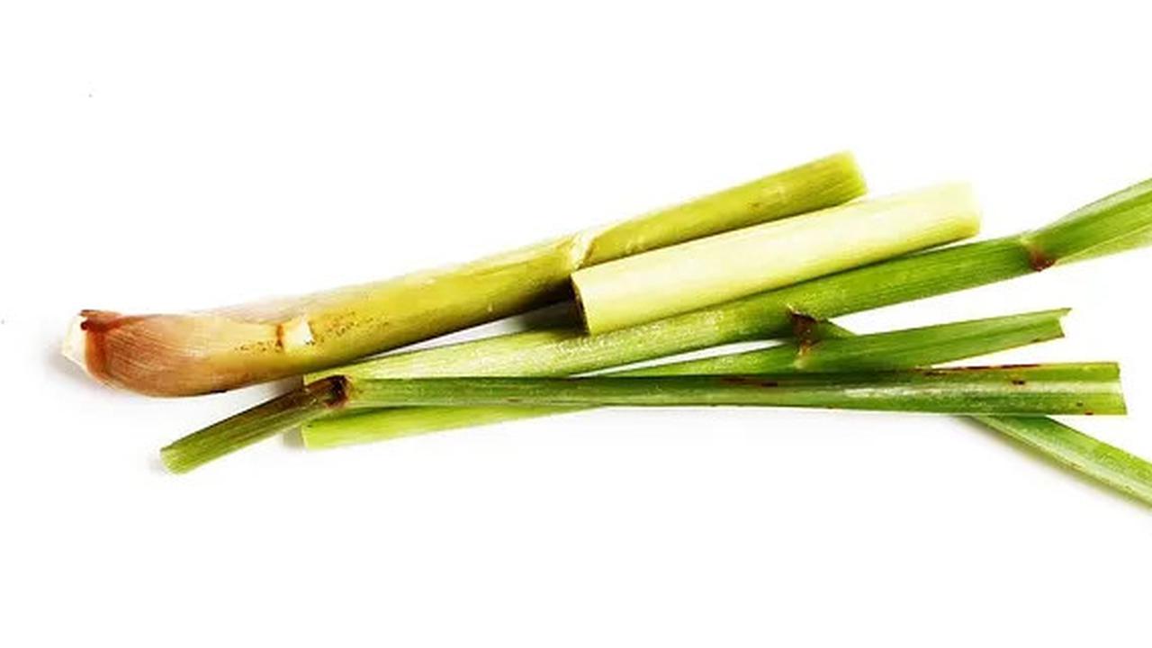 Manfaat Serai yang  Efektifkah Atasi Demam, Nyeri Haid, dan Hipertensi? Ini Buktinya!