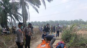 Polisi Ungkap Identitas Jasad Perempuan di Kebun Sawit Mesuji