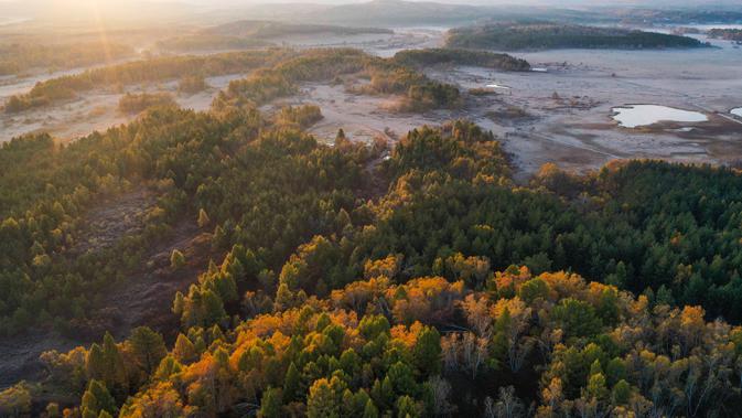 Foto dari udara yang diabadikan pada 27 September 2020 ini menunjukkan pemandangan musim gugur di Taman Hutan Nasional Saihanba di Chengde, Provinsi Hebei, China utara. (Xinhua/Liu Mancang)