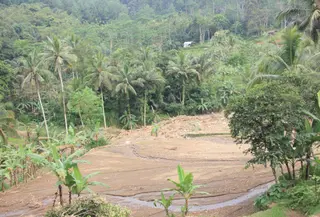 Lahan pertanian di Sukabumi rusak diterjang banjir. (Liputan6.com/Fira Syahrin)
