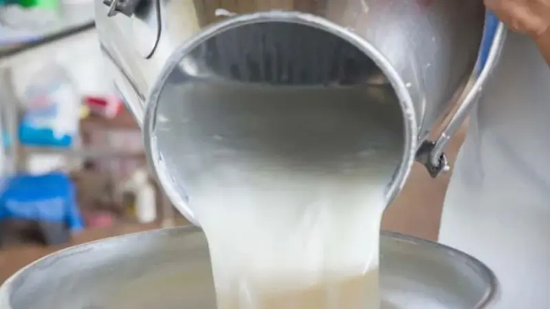 Dukung Kualitas Gizi, Kementan Berkomitmen Kembangkan Produksi Susu Segar Dalam Negeri