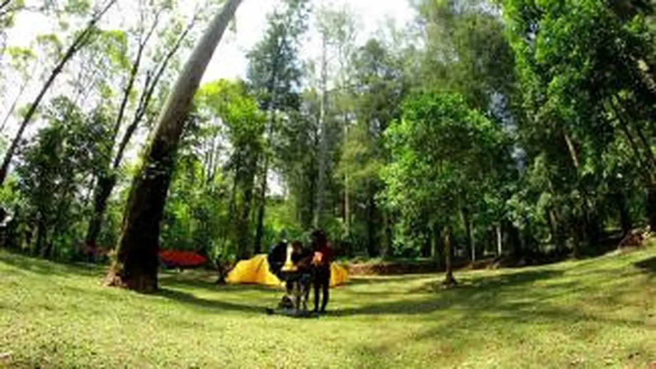 Mojosemi Forest Park
