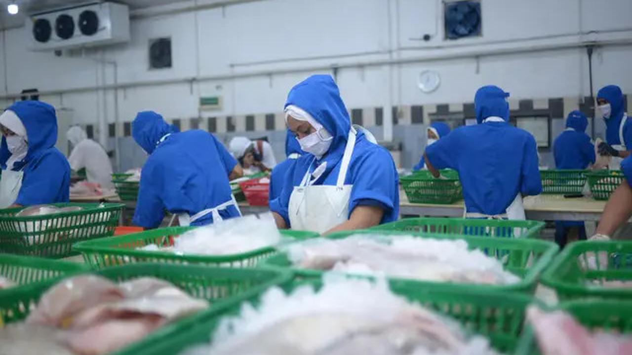 SK Terbaru tentang 27 November Pilkada, Libur atau Tidak? Pengusaha Wajib Liburkan Buruh, jika Tidak Wajib Beri Upah Lembur