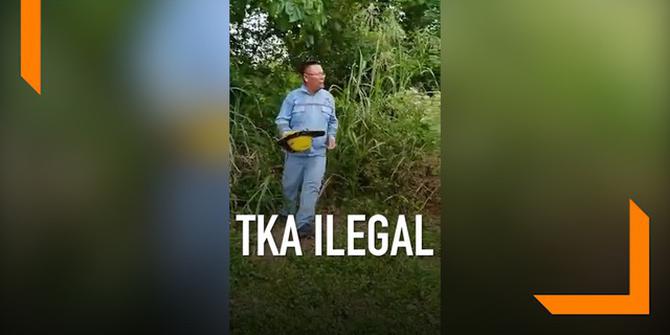 VIDEO: TKA Ilegal Lari ke Gunung saat Akan Ditangkap