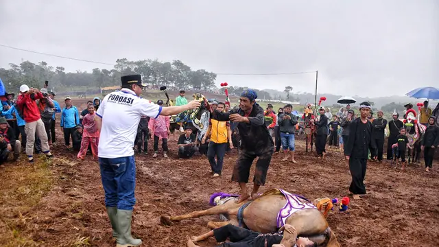 CIBOGO HORSE FESTIVAL