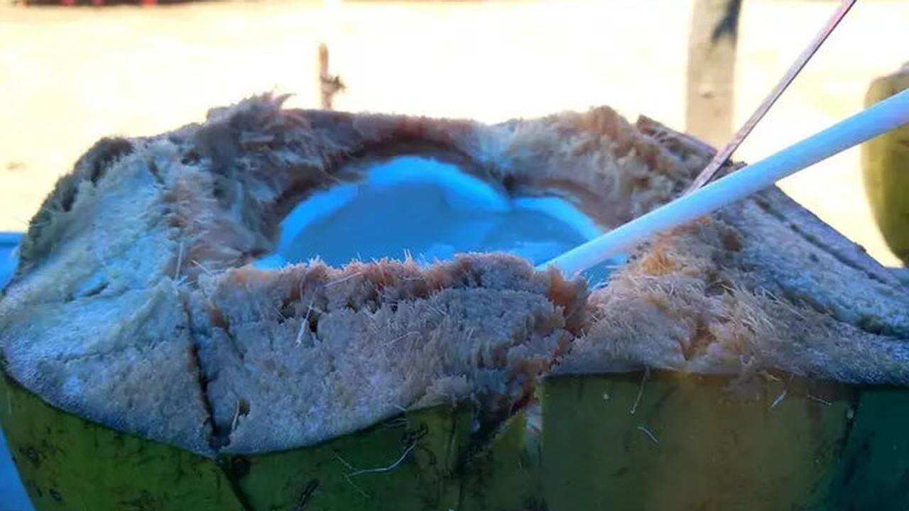 3 Manfaat Hebat Air Kelapa Muda untuk Ibu Hamil