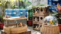 8 Ide Kandang Hewan Kecil dari Barang Bekas yang Jarang Terpikirkan, Mudah Dibuat di Rumah